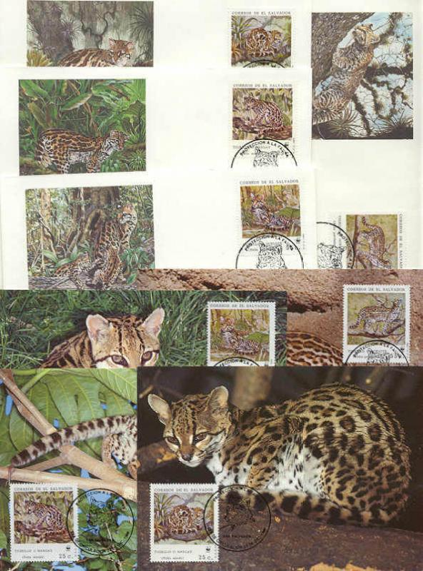 Salvador 8 FDC/cards WWF/Wild cats 1988