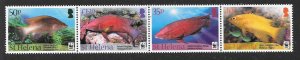 ST.HELENA SG1162a 2011 ISLAND HOGFISH MNH