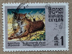 Ceylon 1970 Wildlife 1r Panther used. Scott 442, CV $1.75. SG 564. cats