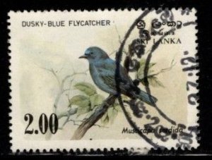 Sri Lanka #693 Birds - Dusky Blue Flycatcher - Used