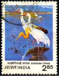 Bird, Siberian Cranes, India stamp SC#1009 used