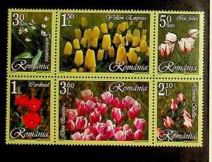 ROMANIA Sc 4817A-B NH SET+SOUVENIR SHEET OF 2006 - FLOWERS