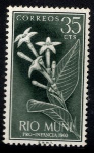 Rio Muni Scott 10 MH* stamp