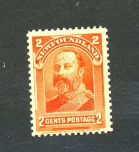 NEWFOUNDLAND #81 MINT FVF OG NH Cat $14