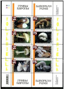 RUSSIA LOCAL SHEET MUSHROOMS