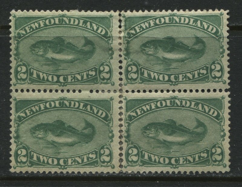 Newfoundland 1896 2 cents green mint o.g. hinged block of 4 