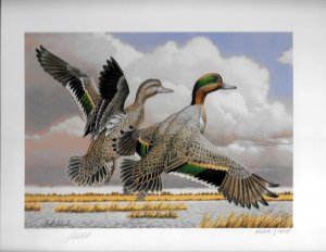 1987-88  Kansas Waterfowl 1st Duck Stamp Print #2425 Guy Coheleach Folio