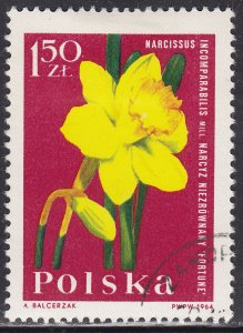 Poland 1286 Narcissus 1964