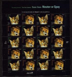 US Stamp #3670-3671 MNH - Neuter and Spay Se-Tenant Full Sheet of 20 w/ P#S11111