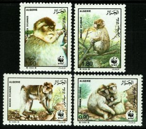 Algeria #872-75  MNH - WWF, Barbary Apes (1988)