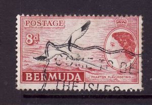 Bermuda-Sc #153-used QEII 8p red & black-Birds-1953-8-