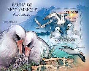 Mozambique 2011 MNH - Albatrosses. Y&T 453, Mi 4902/Bl.502, Scott 2388