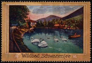 Vintage Germany Poster Stamp Lake Schwanensee, Kurpark Bad Wildbad
