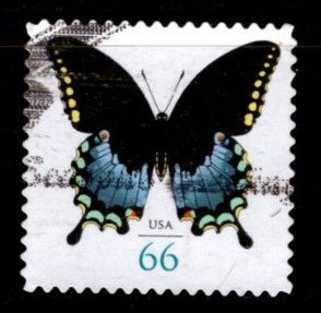 #4736 Spicebush Swallowtail Butterfly (Off Paper) - Used