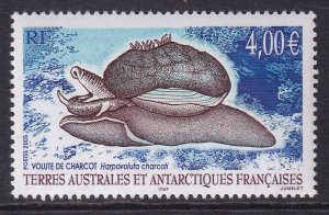 French Southern and Antarctic Territories 352 Snail MNH VF