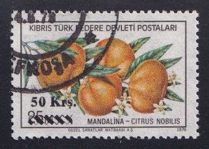 Turkish Republic of Northern Cyprus  #66 cancelled  1979 fruit surcharges  50k