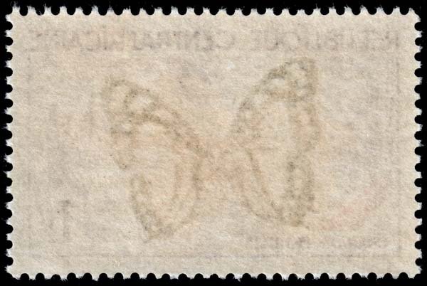 Central African Republic - Scott 5 - Mint-Never-Hinged