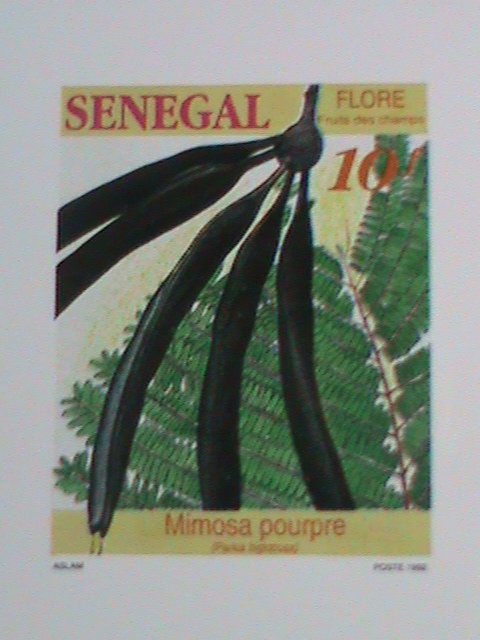 ​SENEGAL STAMP:1992-SC#1032 -FRUIT-BEARING PLANTS- DELUXE PROOF SHEET