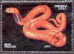 Snake, Naja Pallida, Tanzania Stamp SC#1471 used