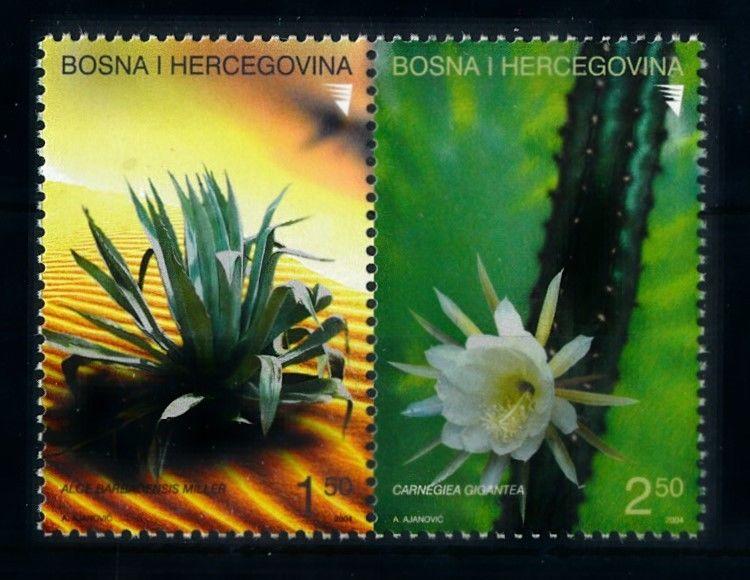 [69973] Bosnia Herzegovina 2004 Flora Flowers Succulents Pair  MNH