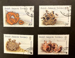 British Antarctic Territory: 1989, Lichens, Fine Used set