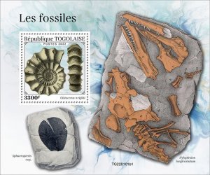 TOGO - 2022 - Fossils - Perf Souv Sheet #1 - Mint Never Hinged