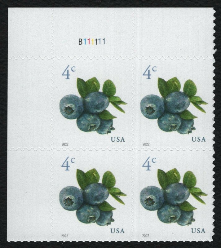 #5652 4c Blueberries, Plate Block [B111111 UL] Mint **ANY 5=FREE SHIPPING**