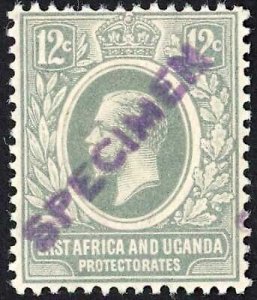 KUT SG48s KGV 12c Slate-Grey opt Specimen locally PAIR U/M