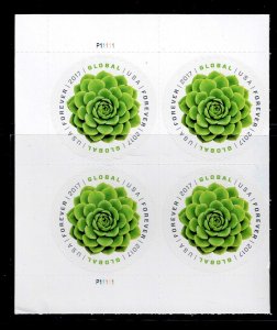 USA # 5198 MNH GREEN SUCCULENT PLATE BLOCK OF 4 GLOBAL STAMPS