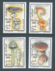 Somalia Mushrooms (4 vals) NH
