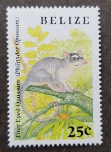 *FREE SHIP Belize Small Animals 1989 Four Eyed Opossum Fauna Wildlife (stamp MNH