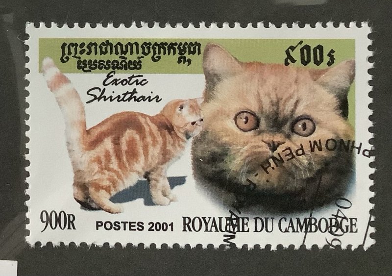 Cambodia 2001  Scott 2123 CTO - 900r, Domestic Cats,  Exotic shorthair