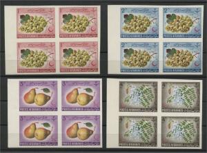 AFGHANISTAN, FLOWERS & FRUITS, MINT NEVER HINGED SET FROM 1962 IMPERFORATED BLo4