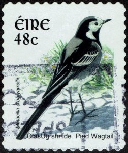 Ireland #1515 Used - Birds Definitive Series Pied Wagtail (2003)