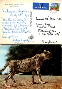 Tanzania, Picture Postcards