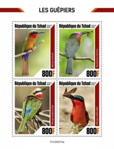 Chad - 2020 Bee-eater Birds, Red-throated - 4 Stamp Sheet - TCH200510a