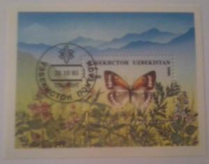 UZBEKISTAN SHEET USED BUTTERFLIES INSECTS 