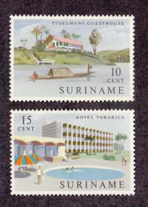 Suriname Scott #306-307 MH