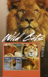 Ghana Wild Animals Stamps 2015 MNH Wild Cats of Africa Lions Fauna 4v M/S II