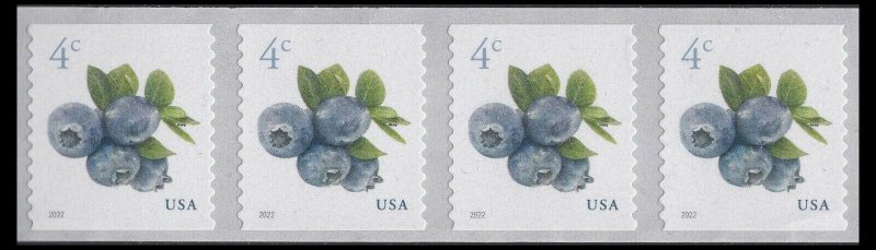 US 5653 Blueberries 4c coil strip (4 stamps) MNH 2022 