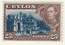 Ceylon 284 [M]