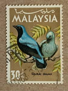 Malaysia 1965 30c Bird, used. Scott 21, CV $0.25. SG 21