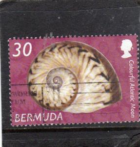 Bermuda Shell used