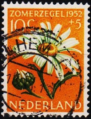 Netherlands. 1952 10c+5c S.G.752  Fine Used