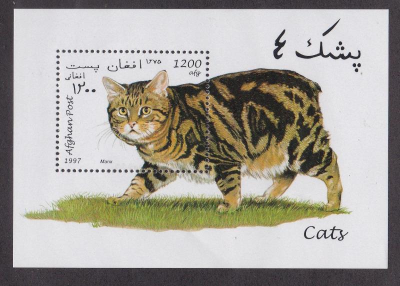Afghanistan Not Listed, Domestic Cat. NH