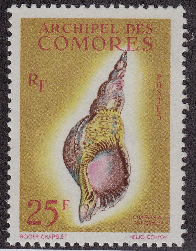 COMOROS ISLANDS MNH Scott # 53 Sea Shell (1 Stamp)