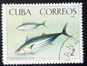 Cuba Sc# 1048  NATIONAL AQUARIUM fish Havana  2c   1965   used cto