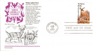 #2317 White-tailed Deer Aristocrat FDC