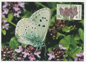 Maximum card Czech Republic 2002 Butterfly - WWF