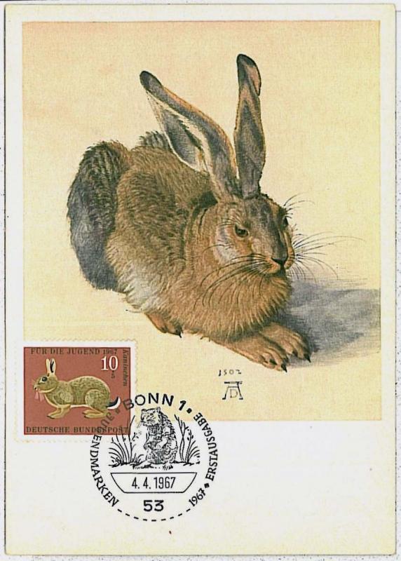 MAXIMUM CARD - POSTAL HISTORY - Germany: Hares, Jackrabbits, Rabit, Hunting 1967